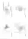 Fig. 12 - Impedance based anatomy generation