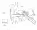 Fig. 01 - Canal type mini-apparatuses insertable in ears for diagnosing and curing diseases