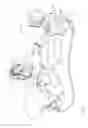 Fig. 02 - Calibration of a force measuring system for large bend angles of a catheter