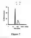 Fig. 08 - Porphyrin nanovesicles
