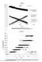 Fig. 02 - METHOD FOR CREATING COLOR SCALE FOR DETERMINATION OF MASTICATORY PERFORMANCE