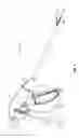 Fig. 02 - Surgical forceps with external cutter