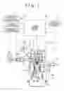 Fig. 02 - Control apparatus for vehicle