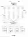 Fig. 48 - Secure data parser method and system
