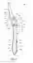 Fig. 06 - Oral care implement having a body disposed within the handle