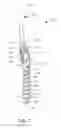 Fig. 08 - Oral care implement having a body disposed within the handle