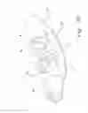 Fig. 04 - Ventilation interface for sleep apnea therapy