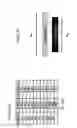 Fig. 03 - Multilayer Rare Earth Device