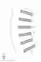 Fig. 02 - Stator core slot and pole piece arrangement for stator structure of a rotary electric machine