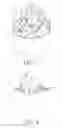 Fig. 03 - Ballast structure used for high-intensity discharge lamp