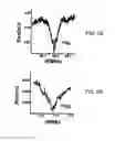 Fig. 06 - Nuclear-spin polarization detection device and nuclear-spin polarization detection method