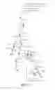 Fig. 02 - Method and apparatus for displaying branch structure