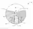Fig. 01 - Ophthalmic lens element
