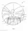 Fig. 04 - Ophthalmic lens element