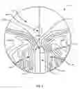 Fig. 06 - Ophthalmic lens element