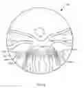 Fig. 16 - Ophthalmic lens element