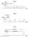 Fig. 05 - Mobile communication method and radio terminal