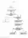 Fig. 06 - Method and apparatus for receiving data in user equipment of supporting multimedia broadcast multicast service