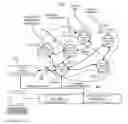 Fig. 01 - Cognitive WiFi radio network