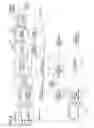 Fig. 08 - User apparatus, base station apparatus and method in mobile communications system
