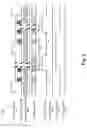 Fig. 07 - Adjustment of clock signals regenerated from a data stream