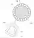 Fig. 06 - Impeller of fuel pump for vehicle