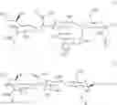 Fig. 02 - Linkable Lewis X Analogs