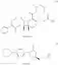 Fig. 10 - Linkable Lewis X Analogs