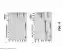 Fig. 06 - Compositions and methods of use for MGD-CSF in disease treatment