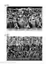 Fig. 09 - Method for producing a template for epitaxial growth having a sapphire (0001) substrate, an initial-stage A1N layer and laterally overgrown A1XGAYN (0001) layer