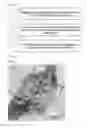 Fig. 02 - NANOCOMPOSITE MATERIAL, METHOD FOR PREPARING THE SAME, AND ENERGY STORAGE DEVICE INCLUDING THE SAME