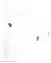 Fig. 07 - LASER ISOLATION OF VIABLE CELLS