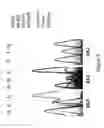 Fig. 04 - Methods for determining and inhibiting rheumatoid arthritis associated with the BRAF oncogene in a subject