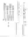 Fig. 08 - PCNA METHYLTRANSFERASE