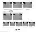 Fig. 49 - Microfluidic platform for synthetic biology applications