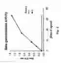 Fig. 08 - Sequence diversity generation in immunoglobulins