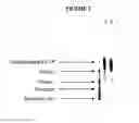 Fig. 09 - Pharmaceutical compositions for the treatment of virus infection