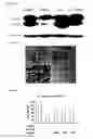 Fig. 09 - Potent Small Molecule Inhibitors of Autophagy, and Methods of Use Thereof