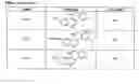 Fig. 35 - Potent Small Molecule Inhibitors of Autophagy, and Methods of Use Thereof