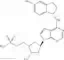 Fig. 49 - INHIBITORS OF E1 ACTIVATING ENZYMES