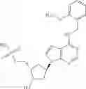Fig. 59 - INHIBITORS OF E1 ACTIVATING ENZYMES