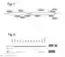 Fig. 02 - Molecule for treating an inflammatory disorder