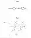 Fig. 02 - METHODS FOR THE SYNTHESIS OF MODULAR POLY(PHENYLENEETHYNYLENES) AND FINE TUNING THE ELECTRONIC PROPERTIES THEREOF FOR THE FUNCTIONALIZATION OF NANOMATERIALS