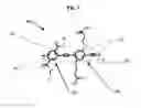 Fig. 03 - METHODS FOR THE SYNTHESIS OF MODULAR POLY(PHENYLENEETHYNYLENES) AND FINE TUNING THE ELECTRONIC PROPERTIES THEREOF FOR THE FUNCTIONALIZATION OF NANOMATERIALS