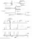 Fig. 01 - Hyperbranched polymers and their applications