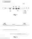 Fig. 02 - EXPRESSION OF SECRETED HUMAN ALPHA-FETOPROTEIN IN TRANSGENIC ANIMALS