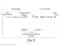 Fig. 05 - EXPRESSION OF SECRETED HUMAN ALPHA-FETOPROTEIN IN TRANSGENIC ANIMALS
