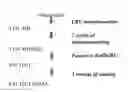 Fig. 04 - Monoclonal antibodies with enhanced ADCC function