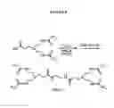 Fig. 09 - Dendrimer compositions and methods of synthesis