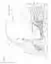 Fig. 02 - Electric vehicle